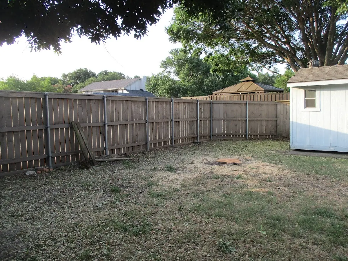 Cleared yard after professional tree removal in Desdemona